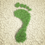 Product Carbon Footprint